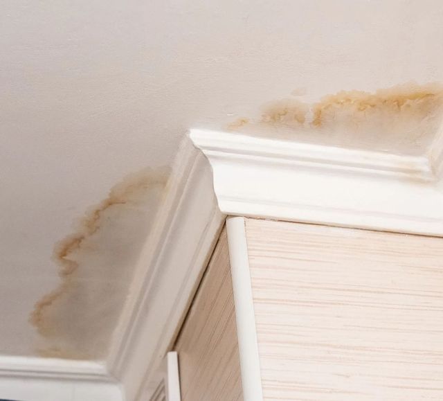 A corner of a ceiling with a stain on it.