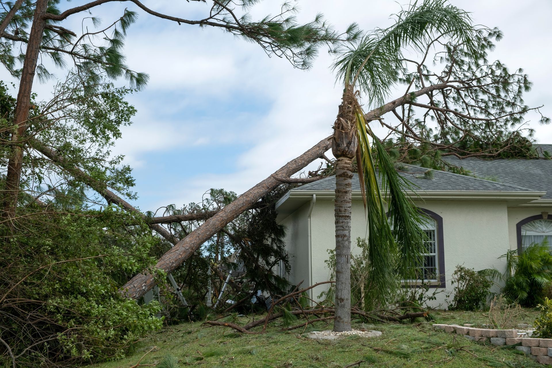 A tree has fallen on top of a house.