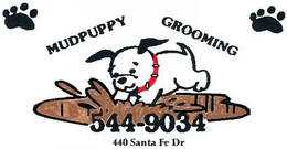 Mudpuppy Grooming