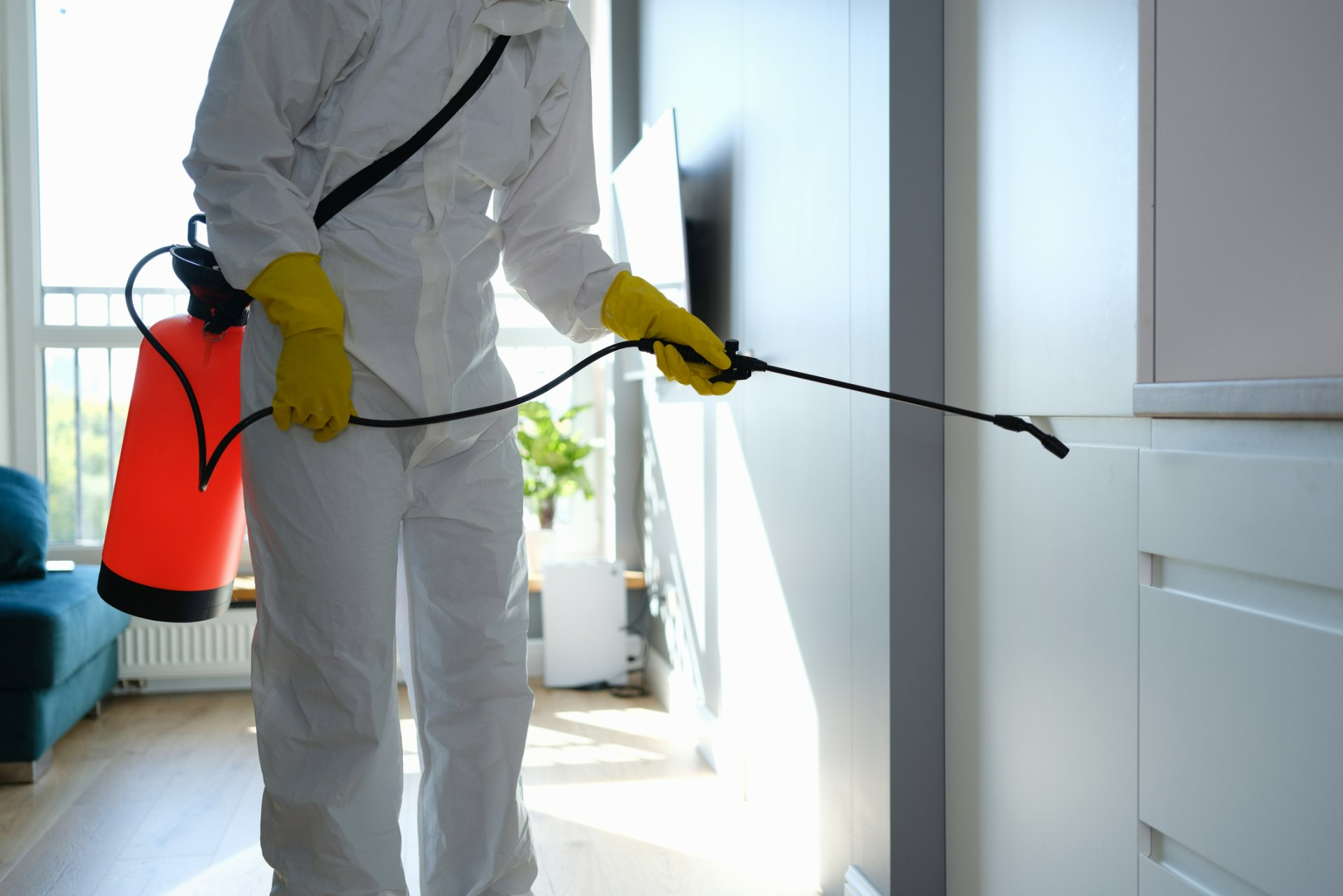Worker in Protective Overalls and Gloves Disinfecting Apartment - Shepparton, Vic - Vin Truscott Pest Control