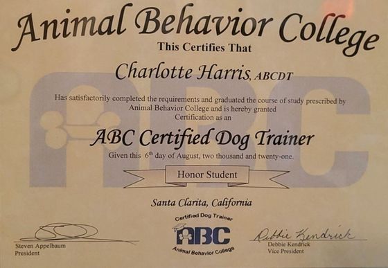 certified dog trainer certificate