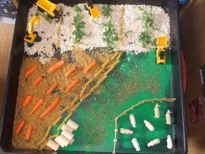 Farm display created by pupils