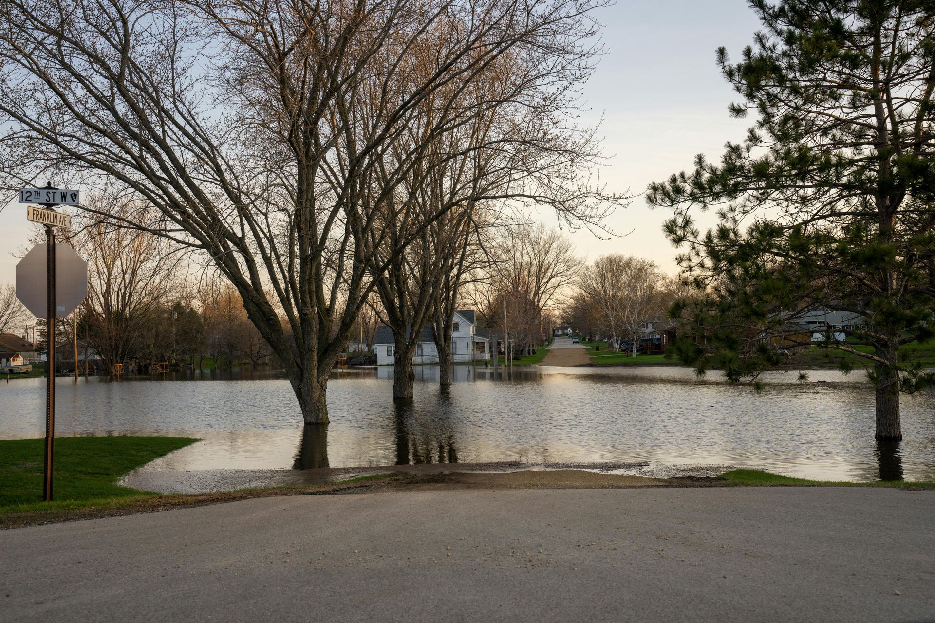 Flooded park road with leafless trees at dusk, water covering the ground near a stop sign