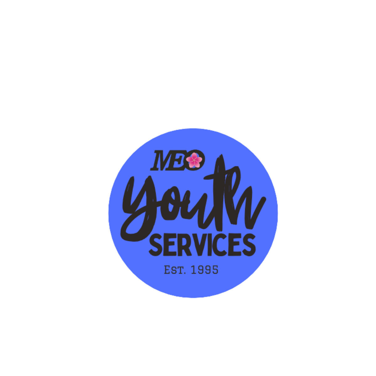 MEO Youth Services