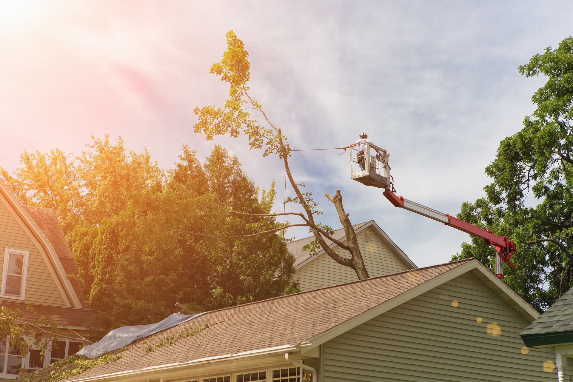 Worker in a red boom lift trims a tree above a house roof at sunset.