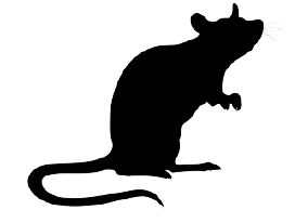 Silhouette of a rat standing on its hind legs, looking upward with its tail curled.