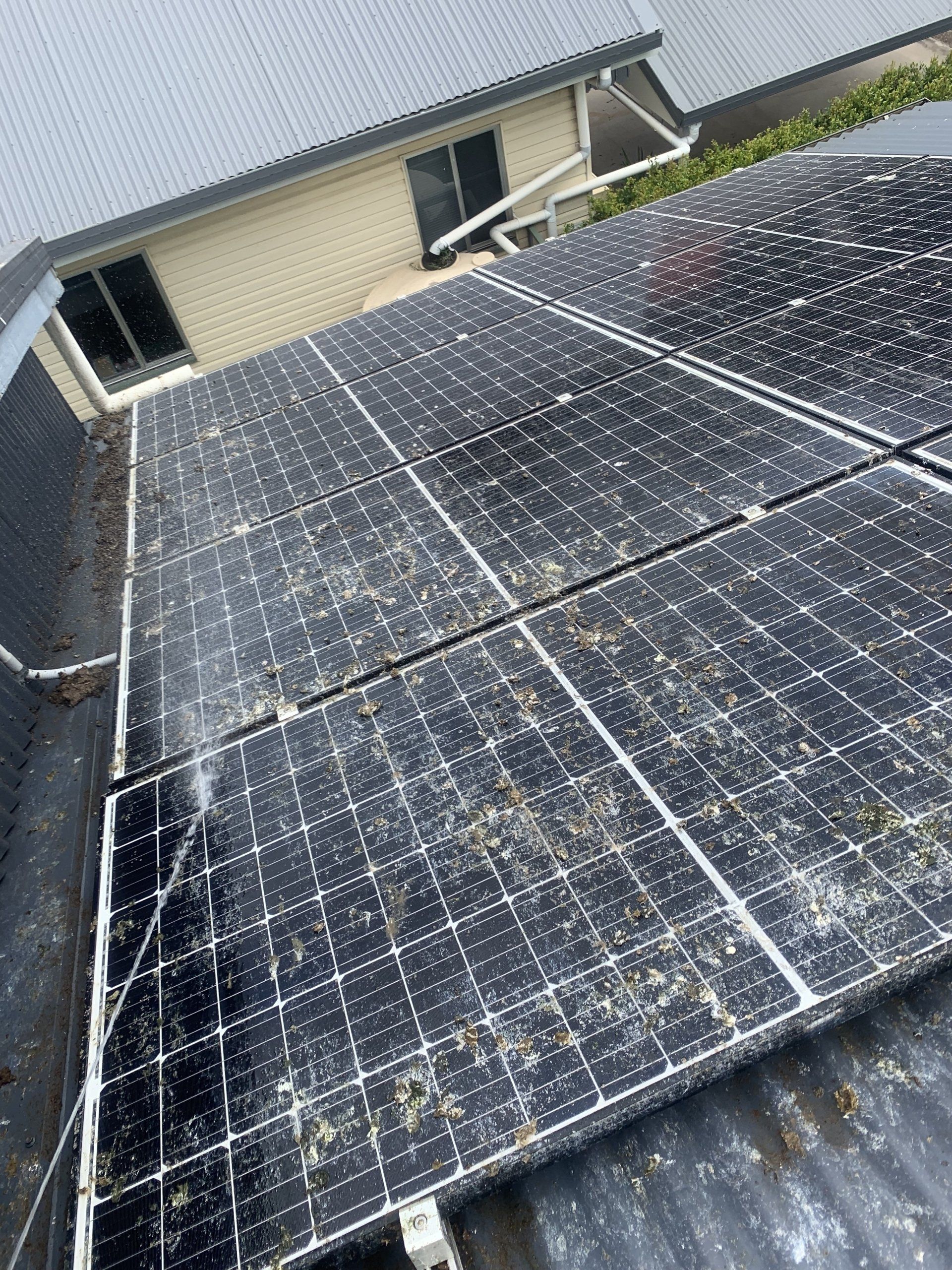 Solar panels on a roof, covered in debris. A house is visible in the background.