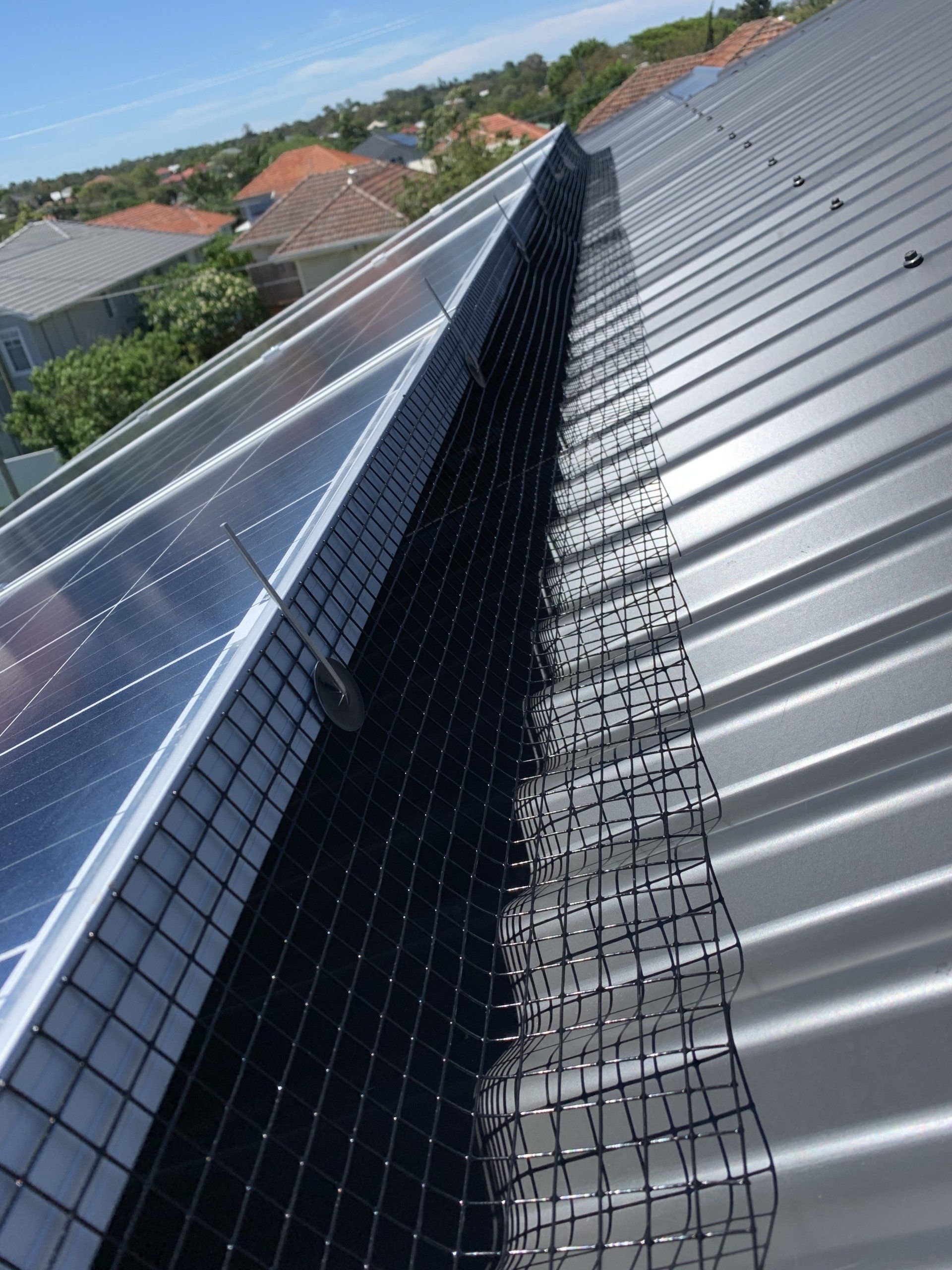 Solar panels on a metal roof with a black net installed to prevent birds from nesting underneath.