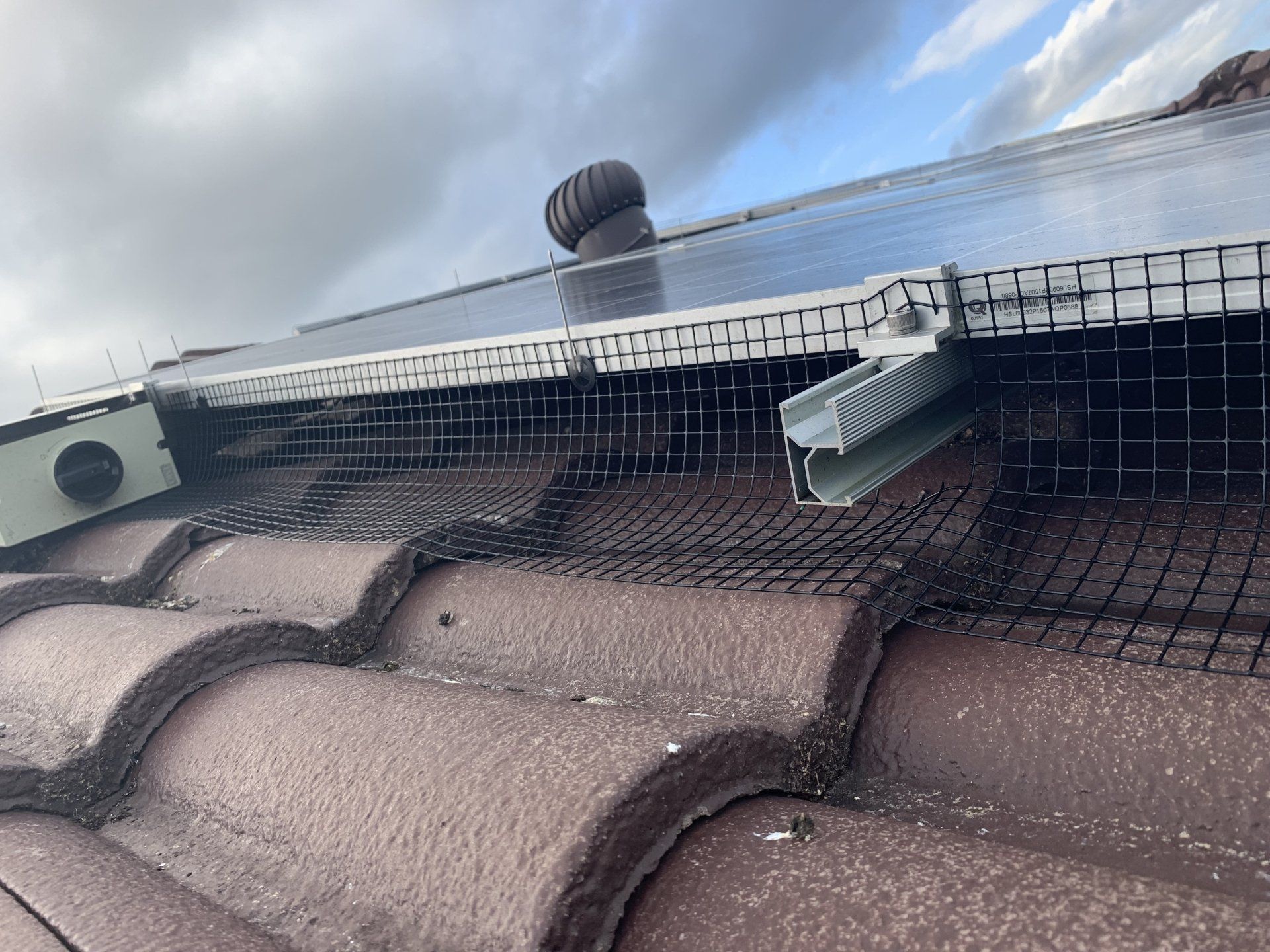 Close-up of a roof with solar panels and a black mesh bird deterrent. A gutter and a vent are also visible.