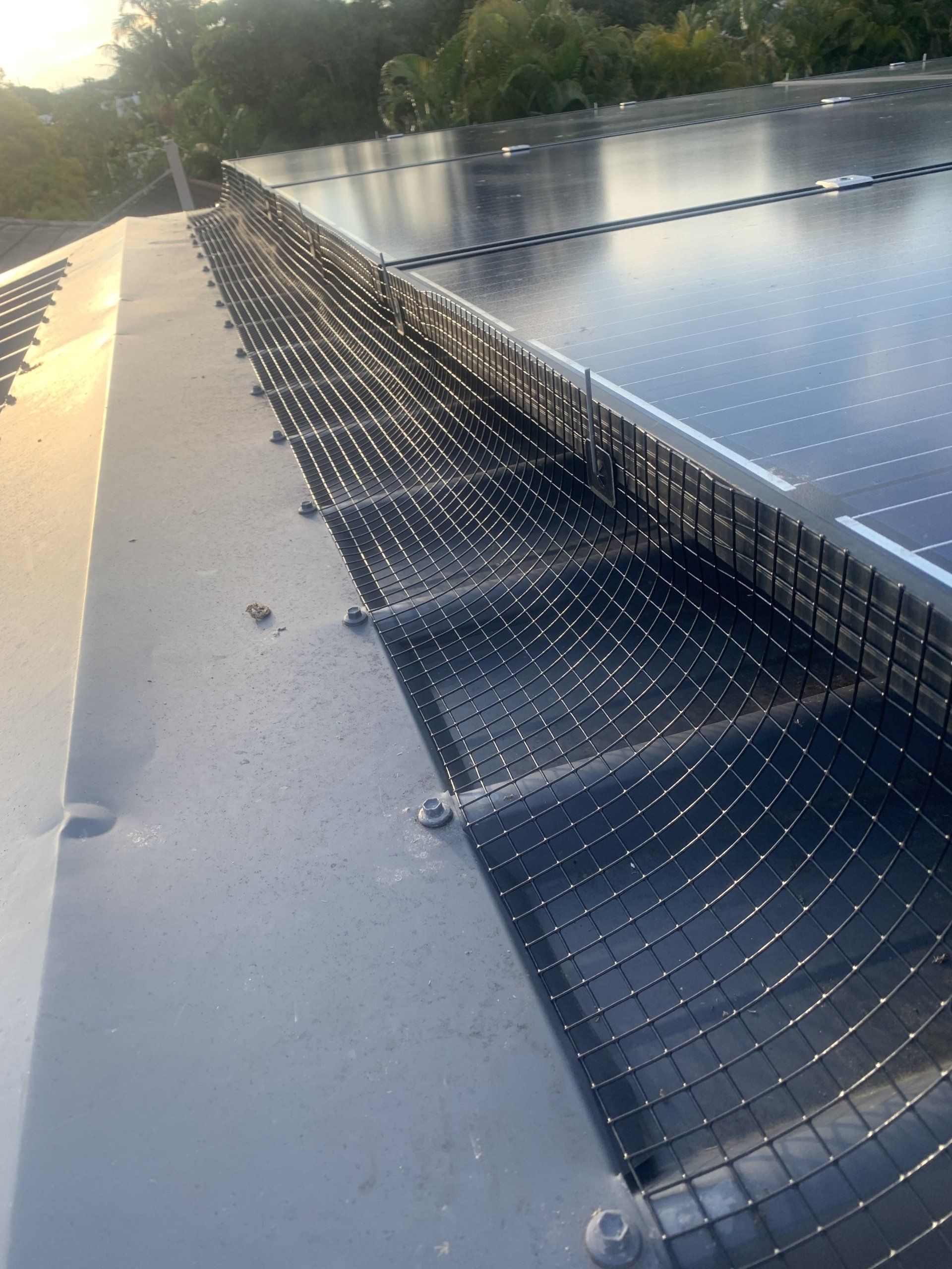 Solar panels on a roof with protective netting installed along the edges.