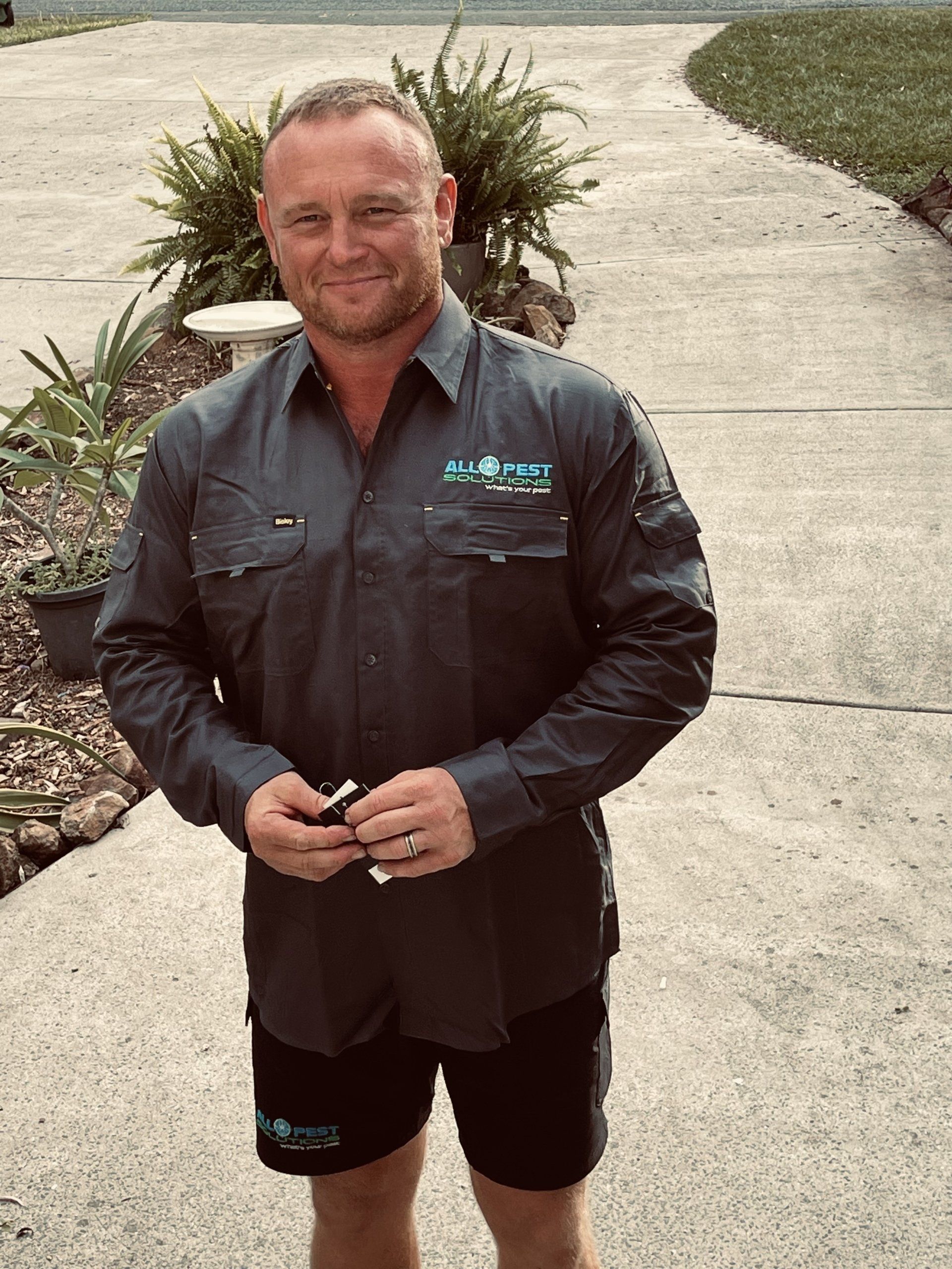 Pest Control — Brisbane, QLD — All Pest Solutions