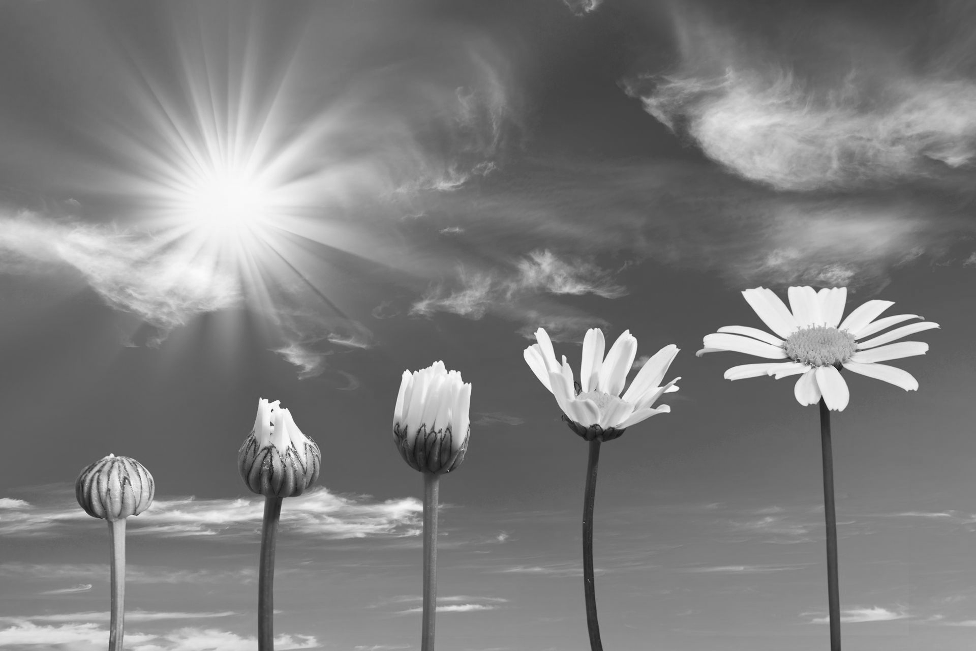 terug naar jezelf, wanneer je jezelf bent kwijtgeraakt