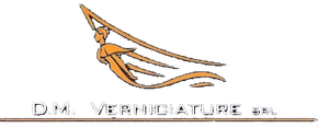 D.M. Verniciature logo
