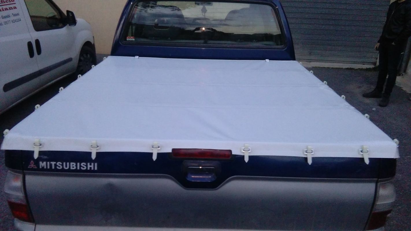 Un camion Mitsubishi blu con un telo bianco sul cassone.