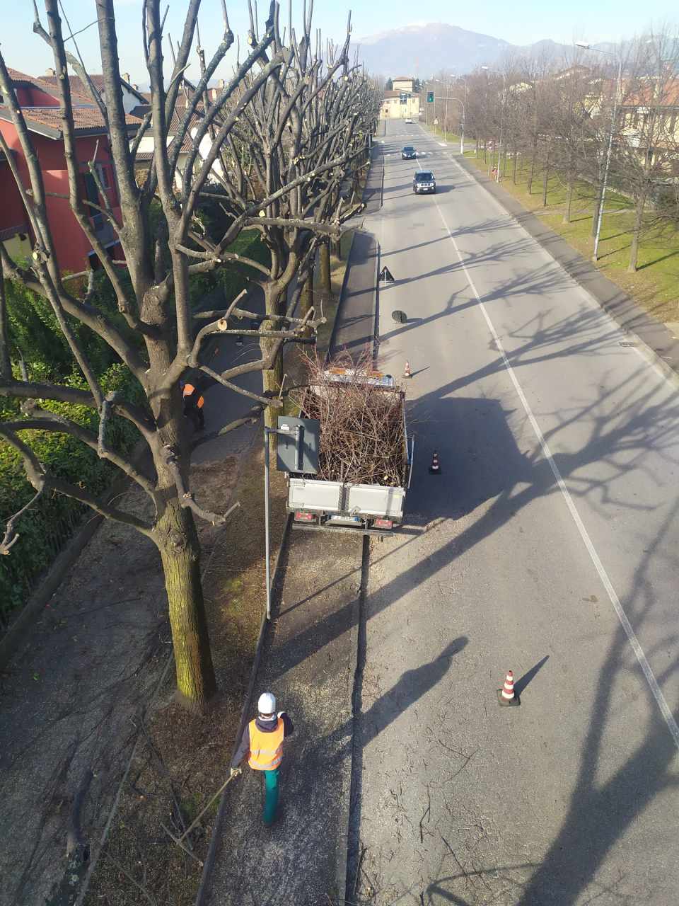 Potatura alberi con camion