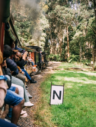 Train ride through forest; passengers on open-sided car. Steam locomotive, green grass, 
