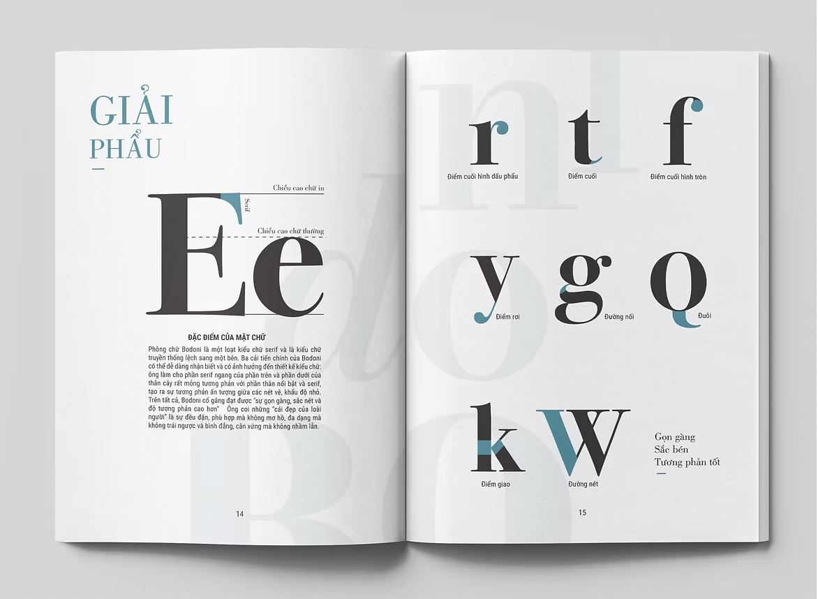 Spread from a typography book showing the letter 