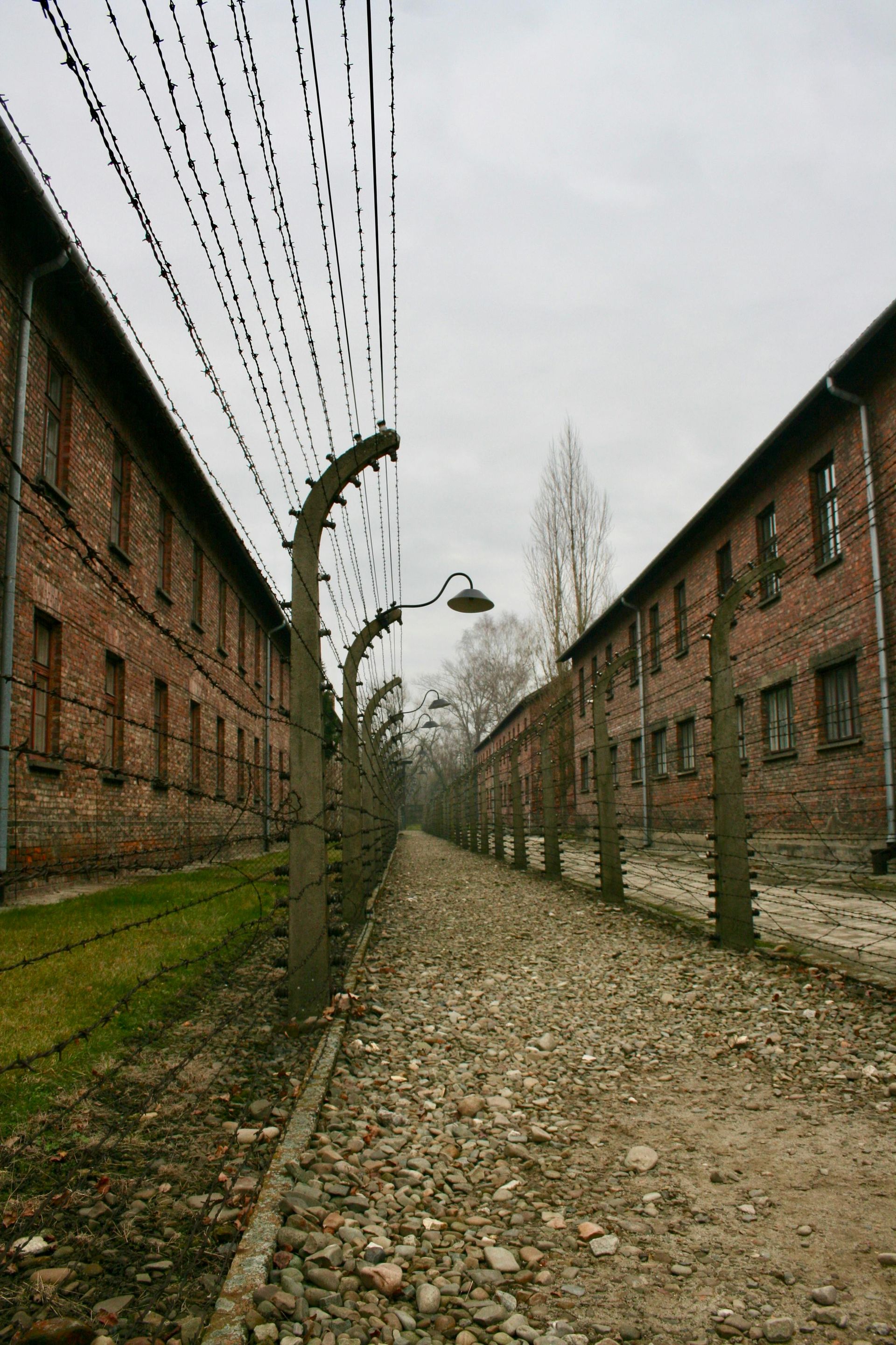 Nazi Camp