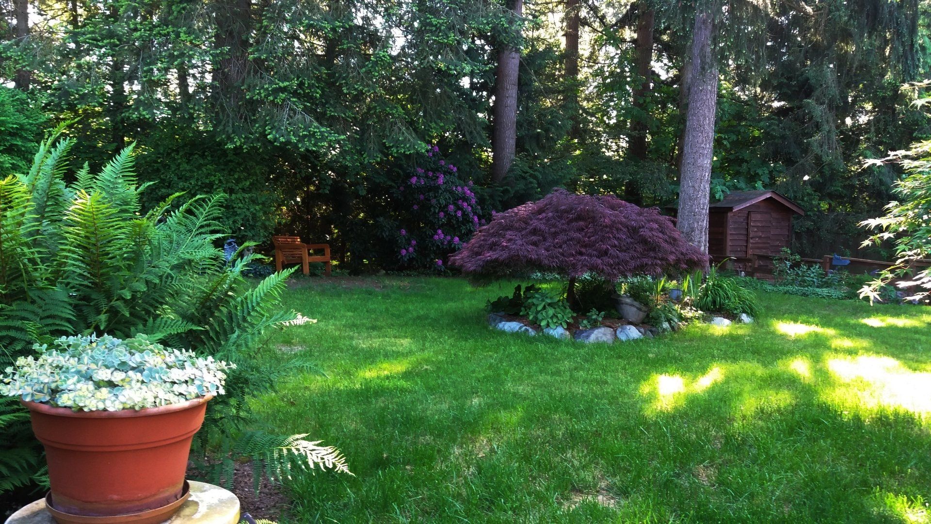 New plant, tree and landscaping rock installed in Yorba Linda