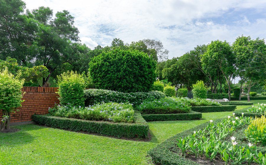 Topiary English formal garden style in Yorba Linda Gardens with geometric shape of bush and shrub, decoration with flowering plant blooming on green leaf of Philippine tea plant border, greenery trees, under clouds blue sky, in a good care landscapes of public park