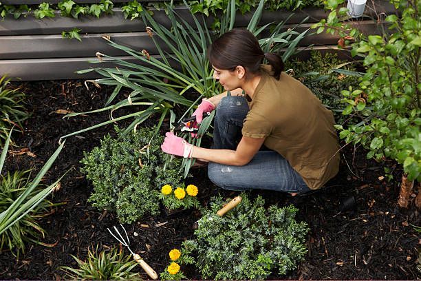 Woman doing DIY landscaping installation in Orange County