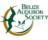 Toucan Education Programs