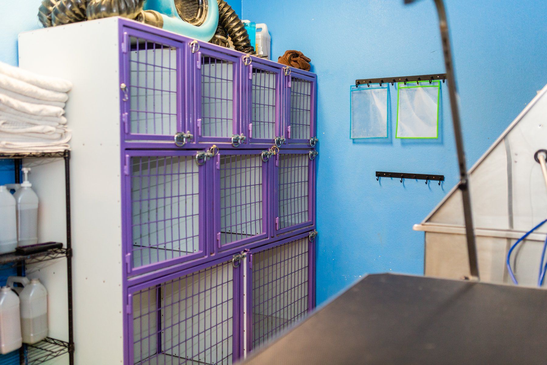 Support local pet charities and rescue organizations in Chattanooga, TN.