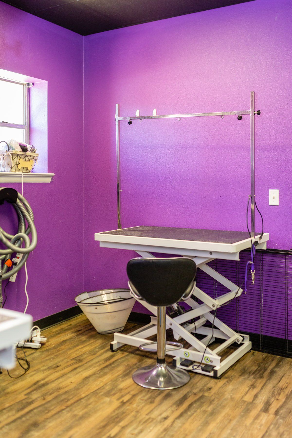 Premium pet spa and grooming services at PetQuest Spa and Hotel in Chattanooga, TN.