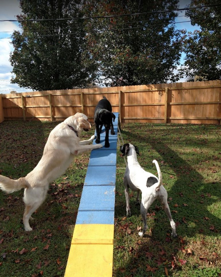 PetQuest-Spa-and-Hotel-FB-photos-10