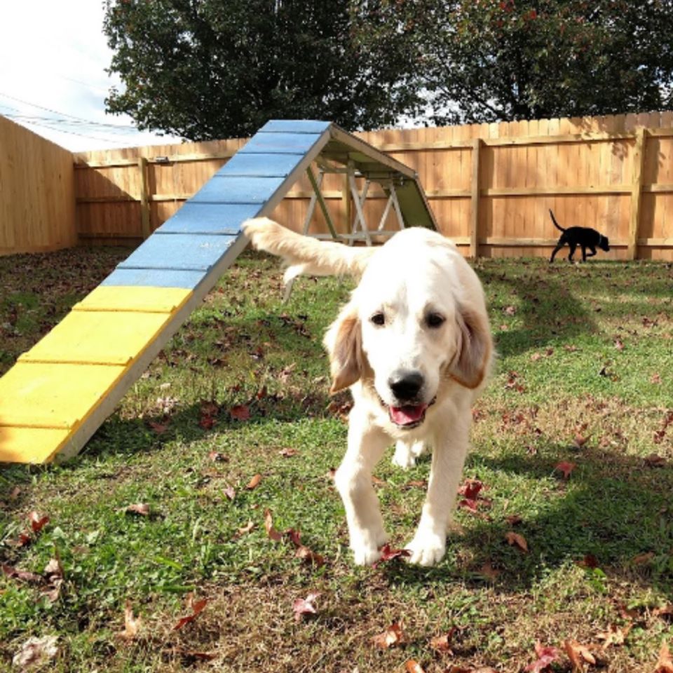 PetQuest-Spa-and-Hotel-FB-photos-8