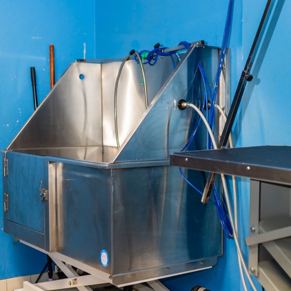 PetQuest-Spa-and-Hotel-FB-photos-9