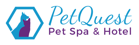 petquest logo