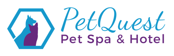 petquest-spa-hotel-logo