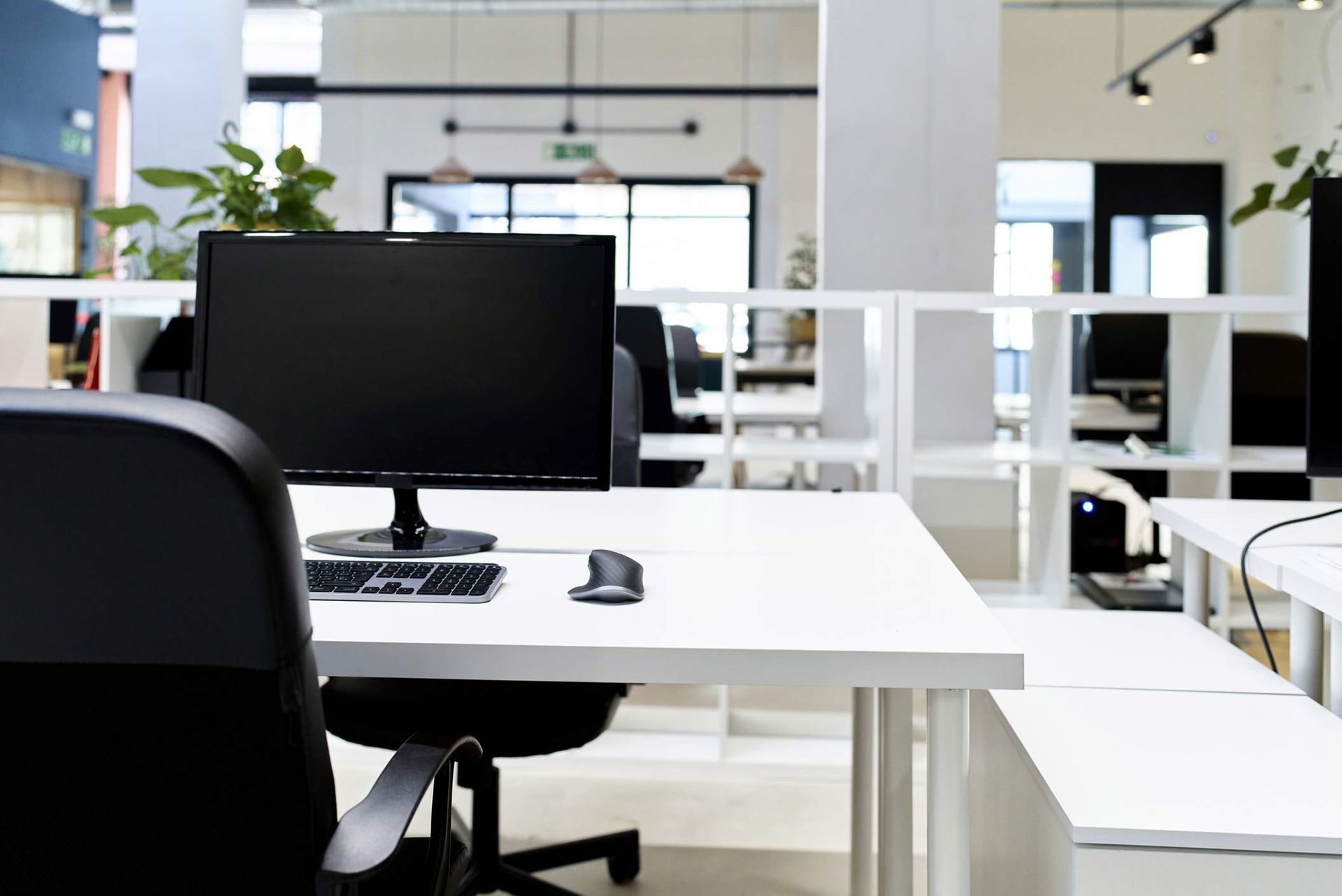 Modern office desk with computer setup, black chair, and plants near large sunlit windows.