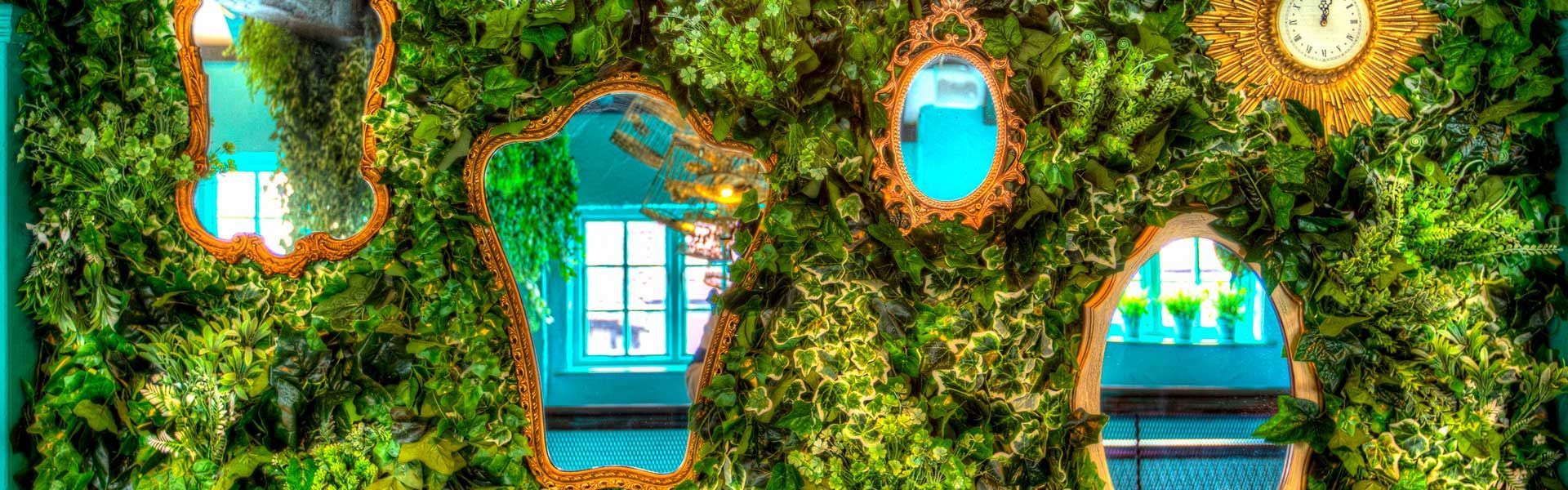 A green wall with a lot of mirrors on it