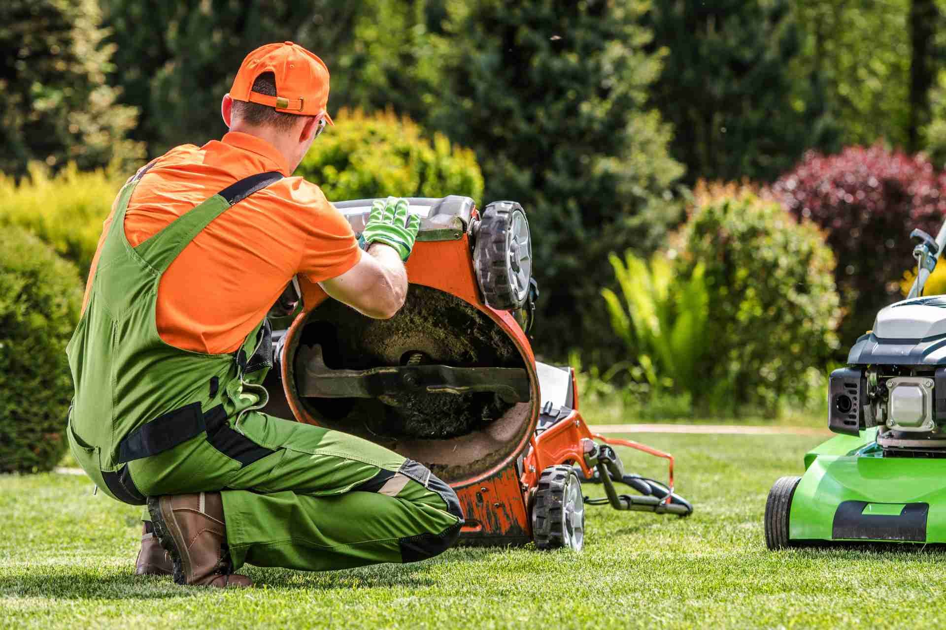 5 Key Lawn Care Services: Enhance Your Curb Appeal List