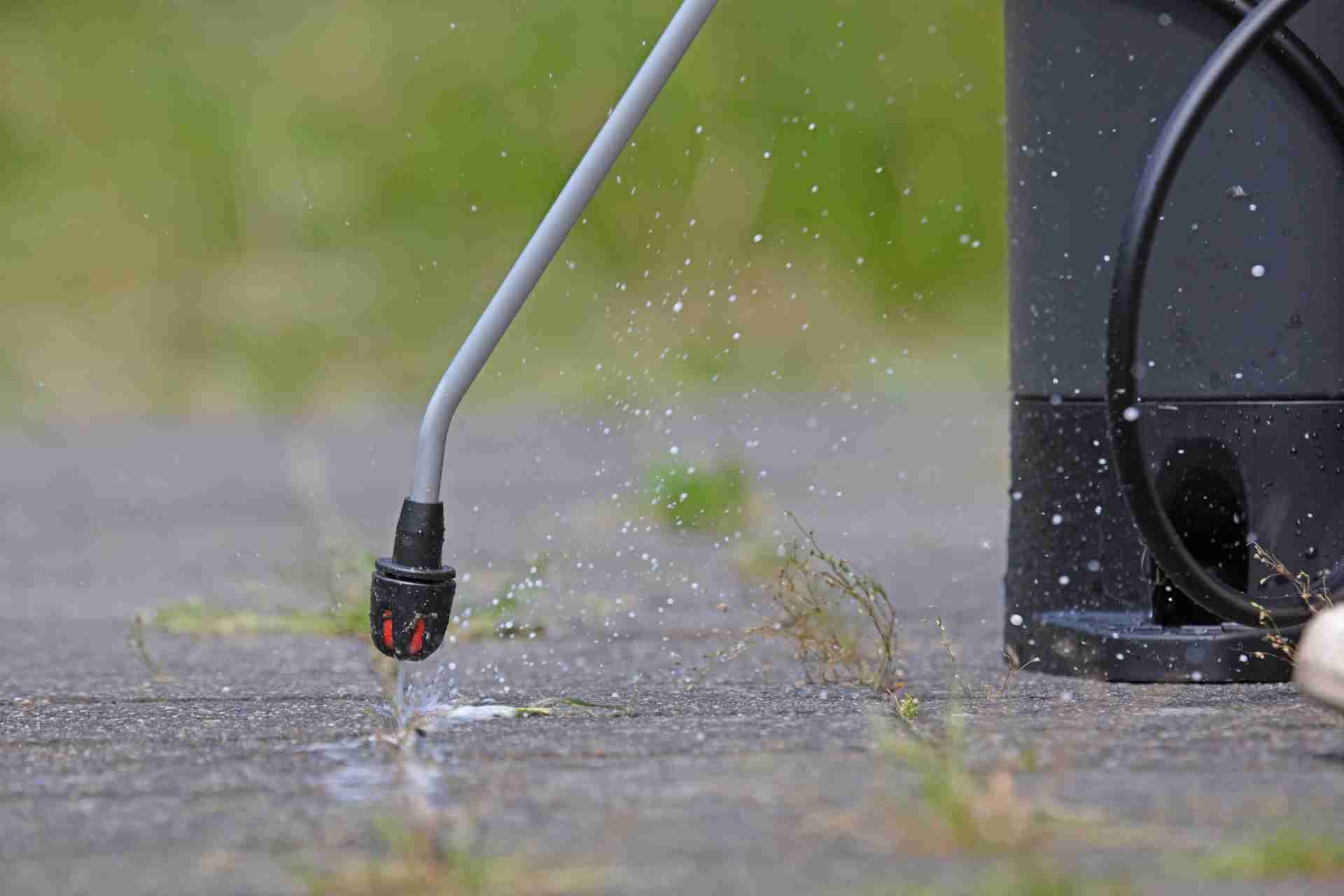 Best Natural Weed Killers That Actually Work