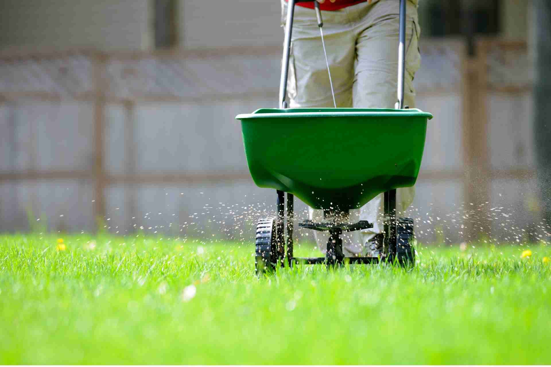 Choosing the Right Fertilizer for Your Texas Lawn