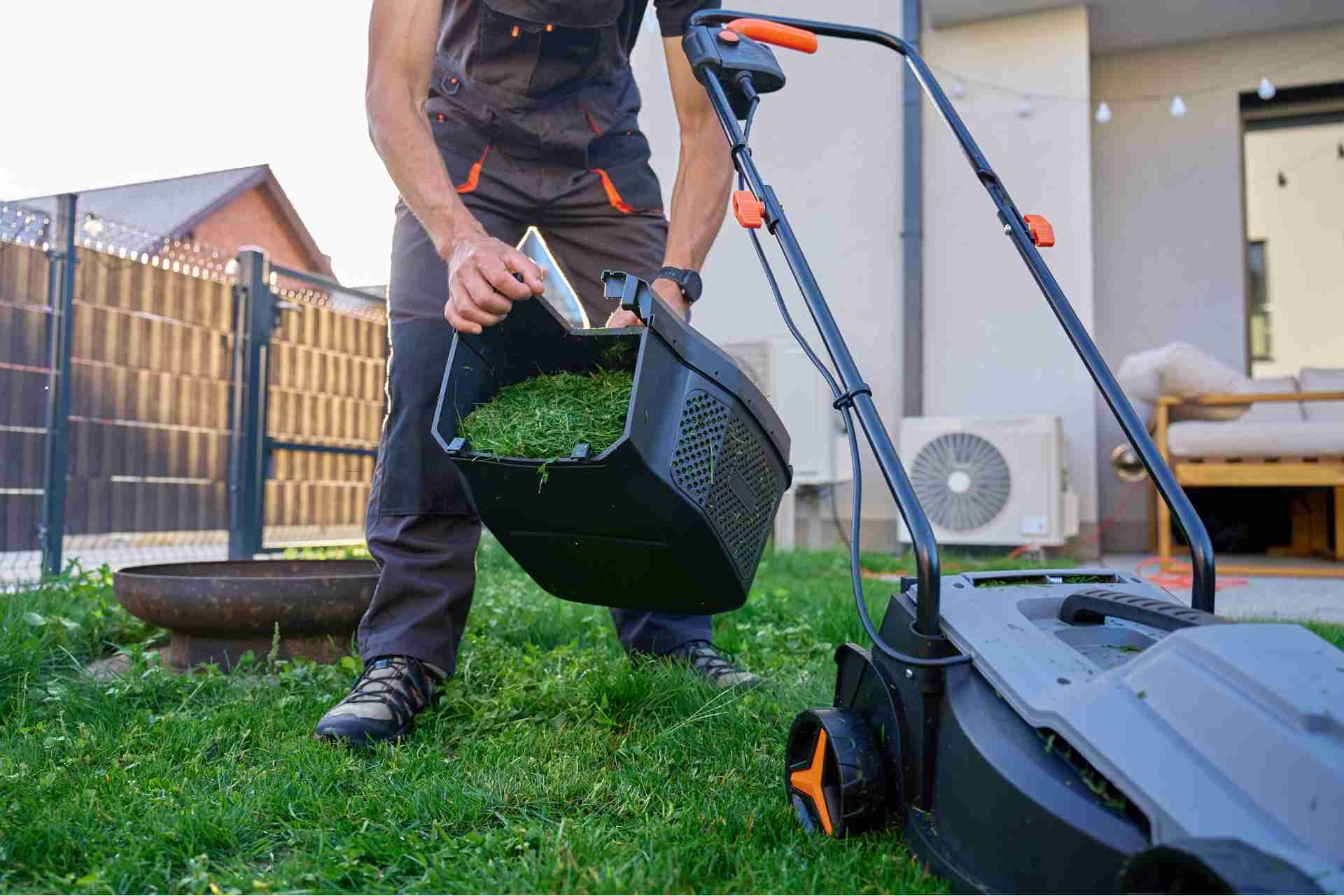 Essential Lawn Care Tasks for Texas Homeowners: A Seasonal Guide