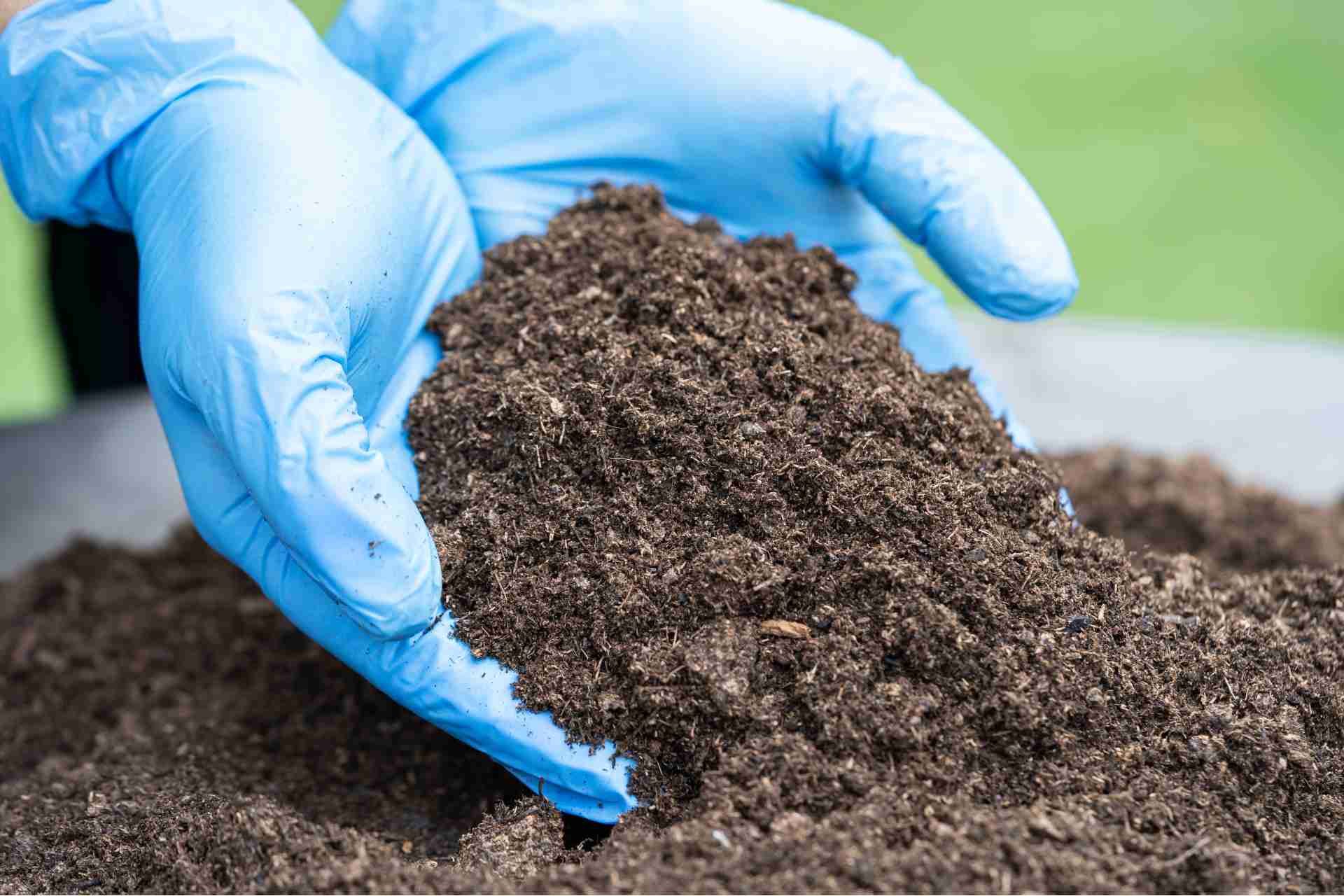 how to improve lawn soil naturally