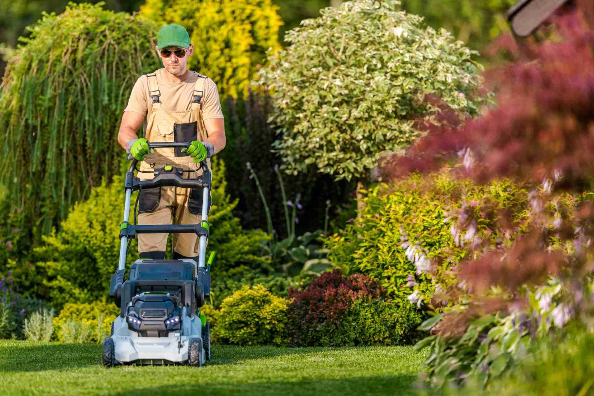 How to Maintain Your Lawn with Essential Service Care Tips