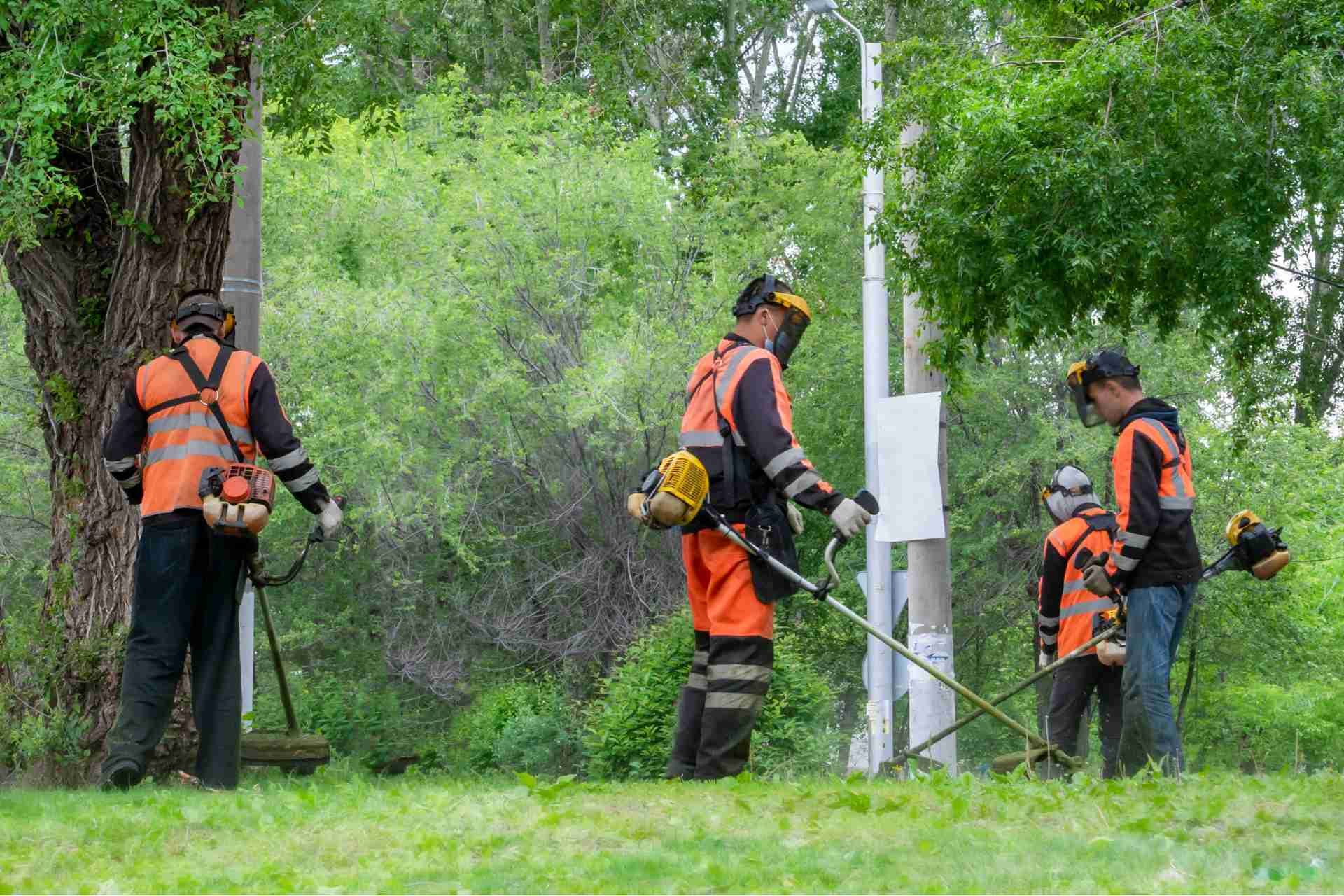 Is Full Service Lawn Care Worth the Investment?