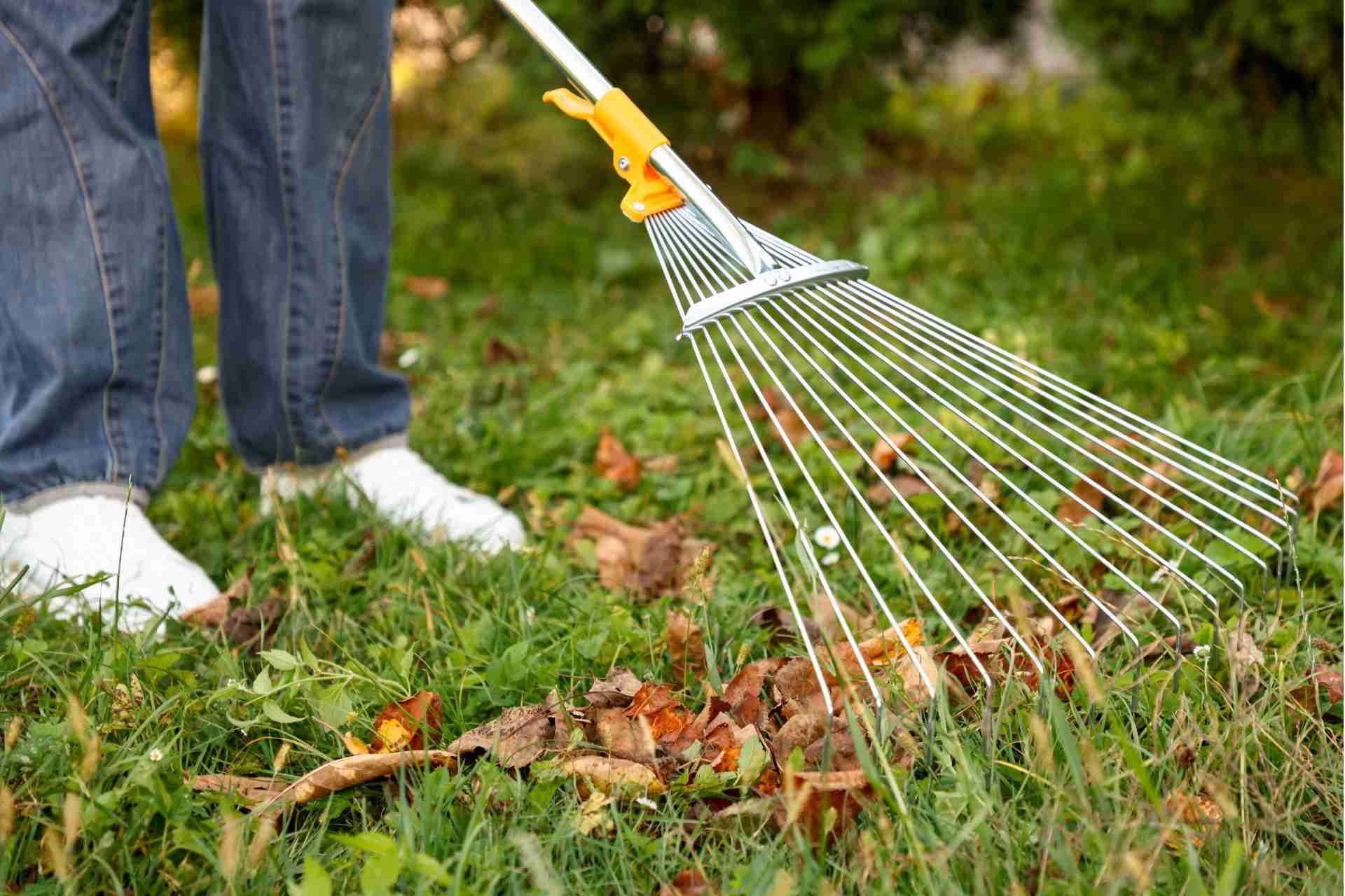 Seasonal Lawn Care Checklist for North Texas (Spring → Winter)