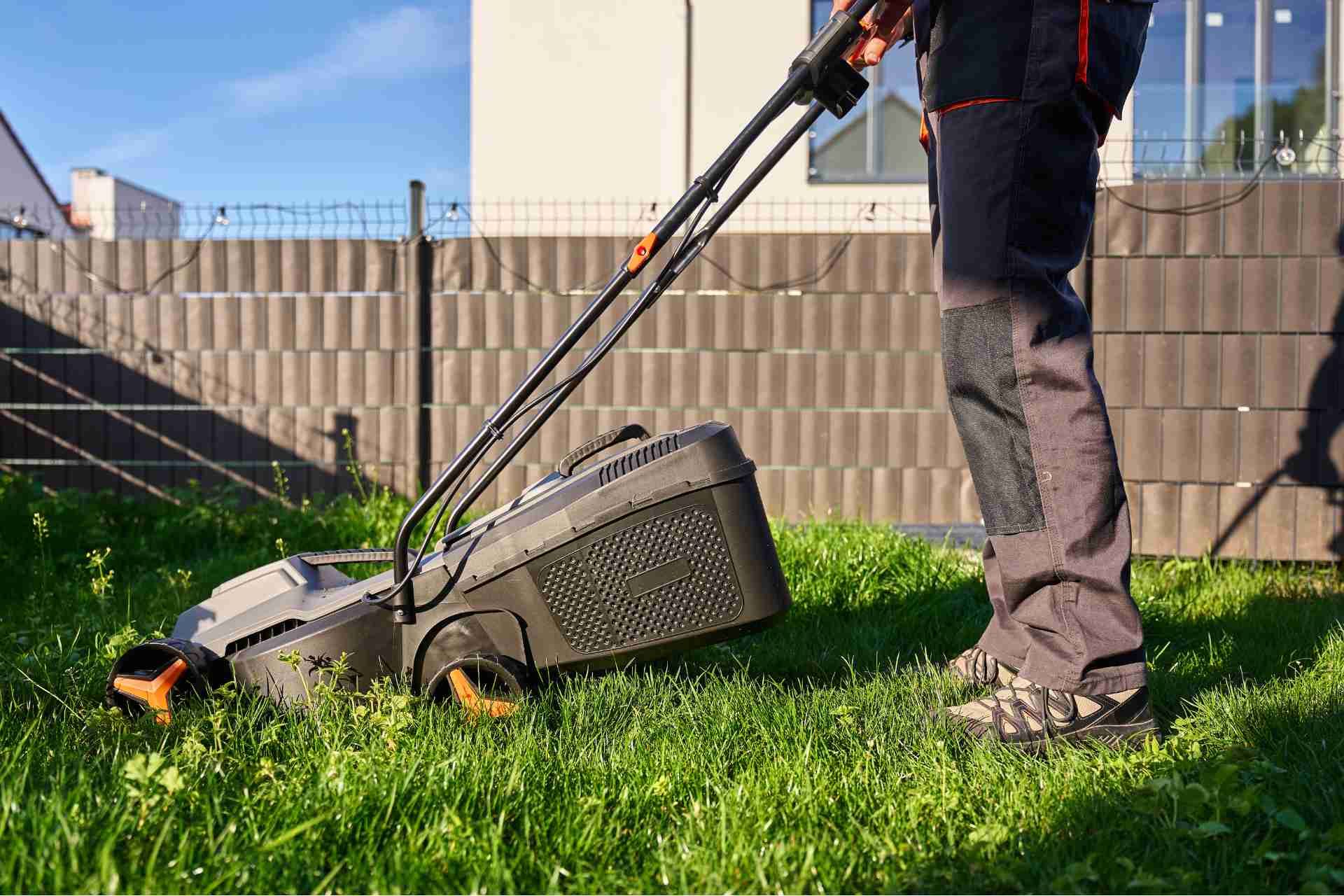 Step-by-Step Guide to Effective Lawn Service Care