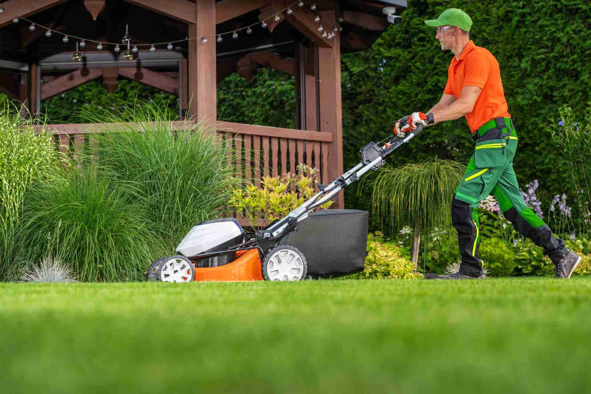 What Is Full Service Lawn Care?