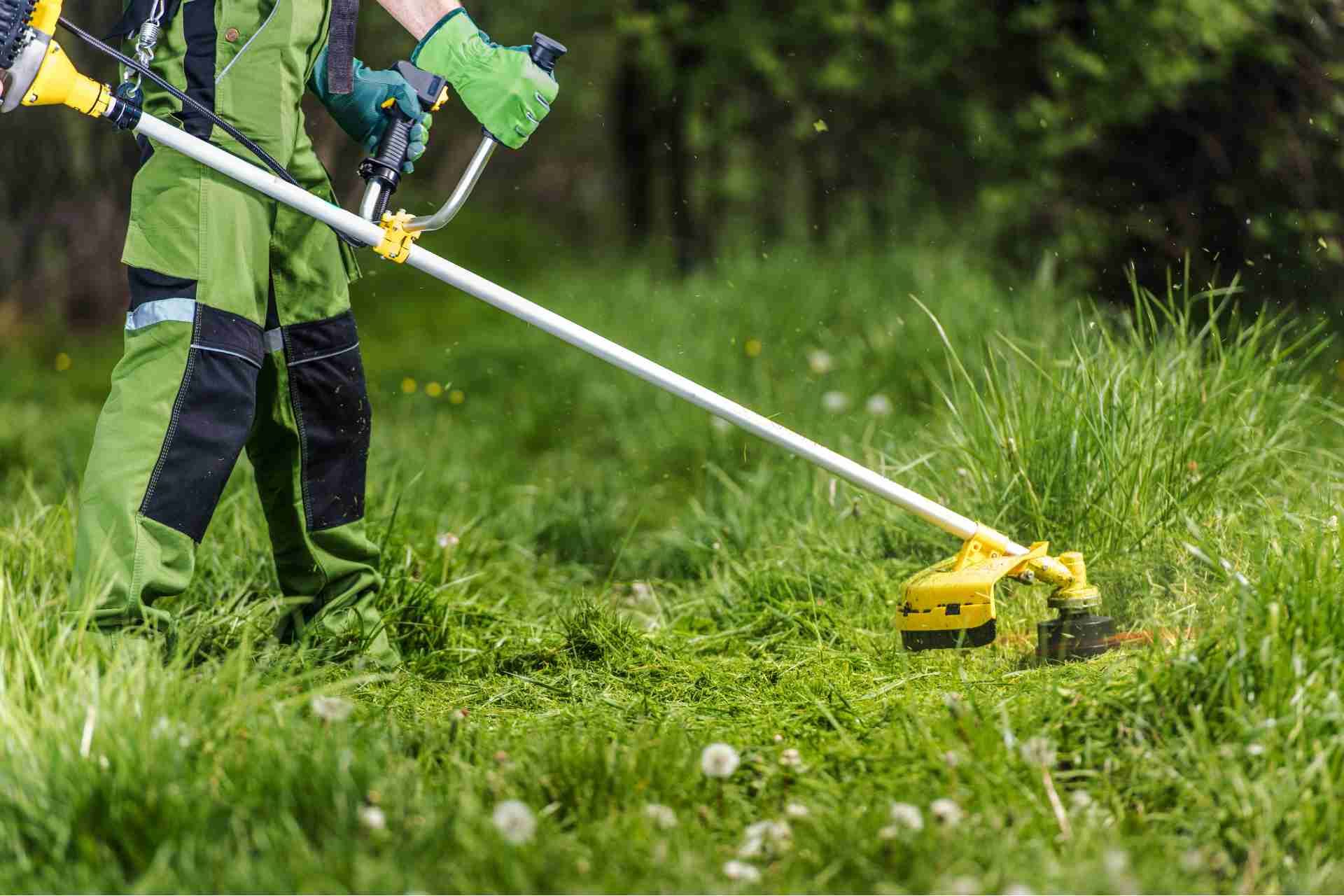 Why Hire a Professional Lawn Care Service?