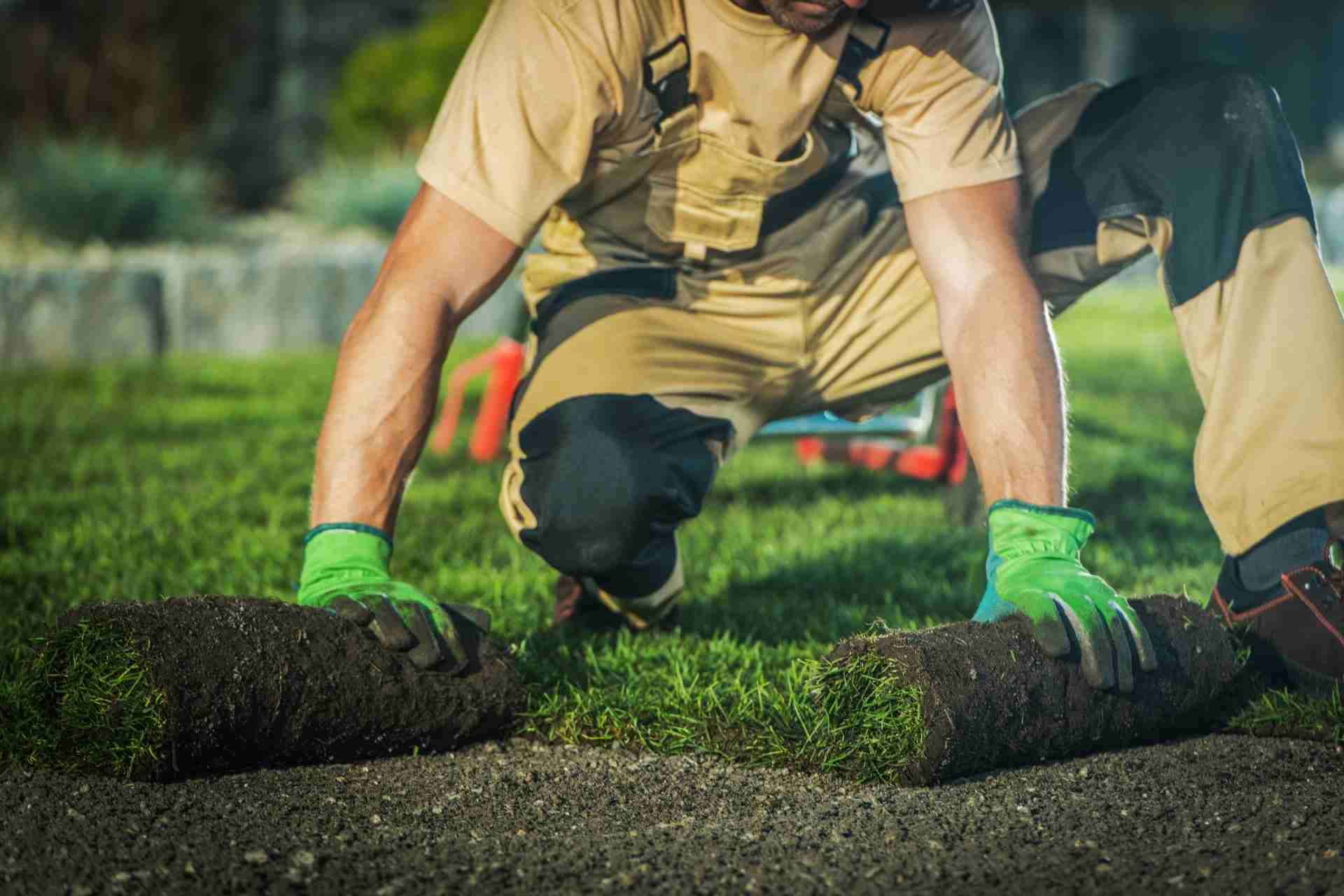 Why Hire a Professional Lawn Care Service?