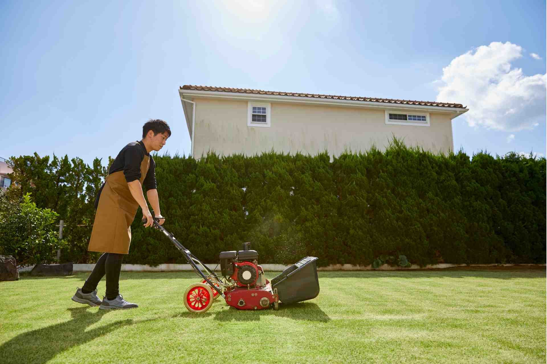 how do i start a lawn from scratch in frisco or prosper texas