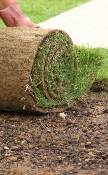Landscape Maintenance and Installation