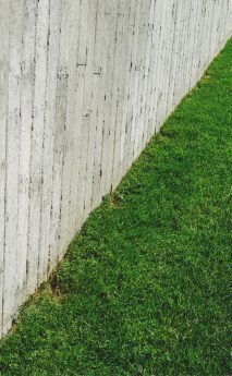 Lawn Mowing